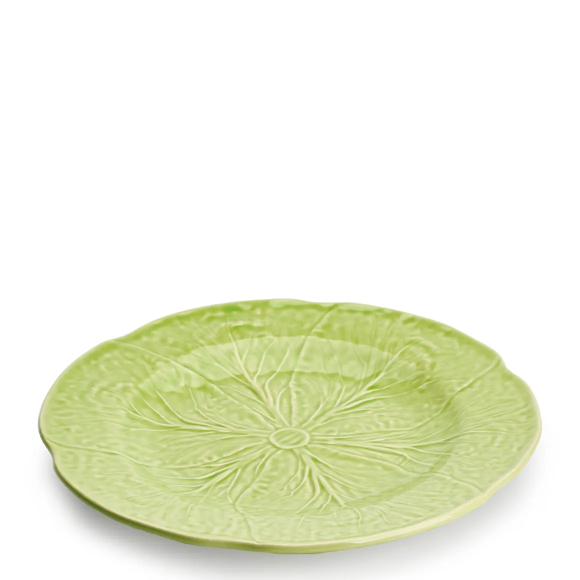 Cabbage Dinner Plate Fennel