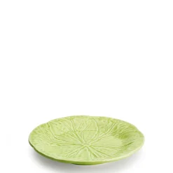 Cabbage Salad Plate Fennel