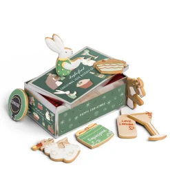 Christmas Iced Biscuit Selection