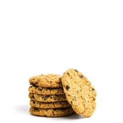 Organic Sultana & Oat Cookies