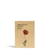 Poppy Single Mix Seeds