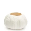Urchin bowl