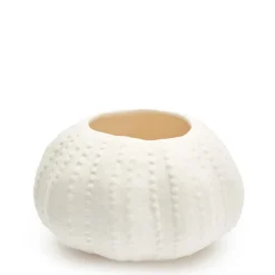 Urchin bowl